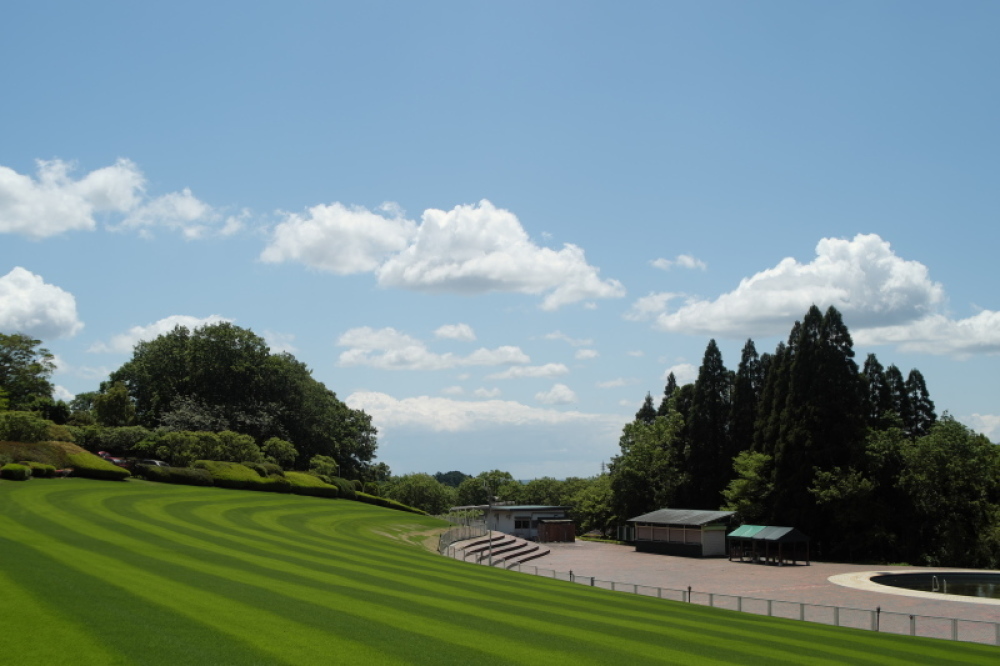 d0021491_20070983.jpg