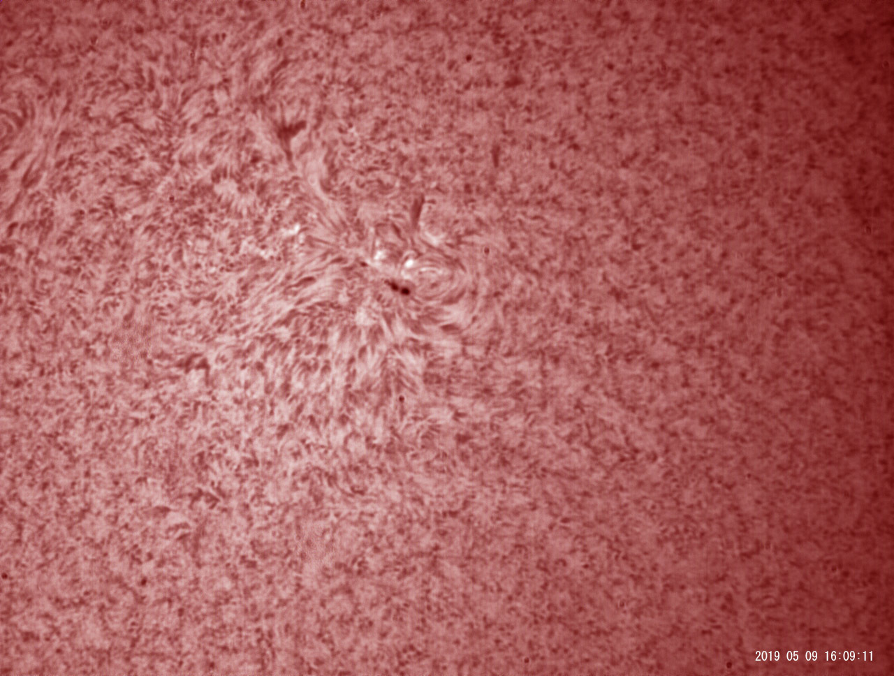 5月9日の太陽_e0174091_18423685.jpg