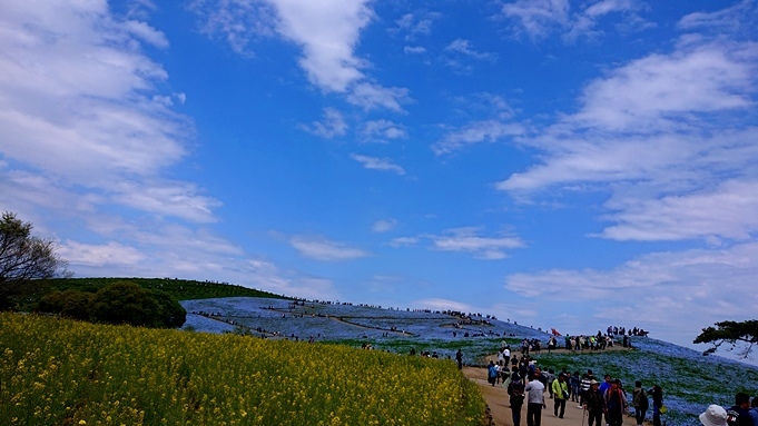 b0192199_22354911.jpg