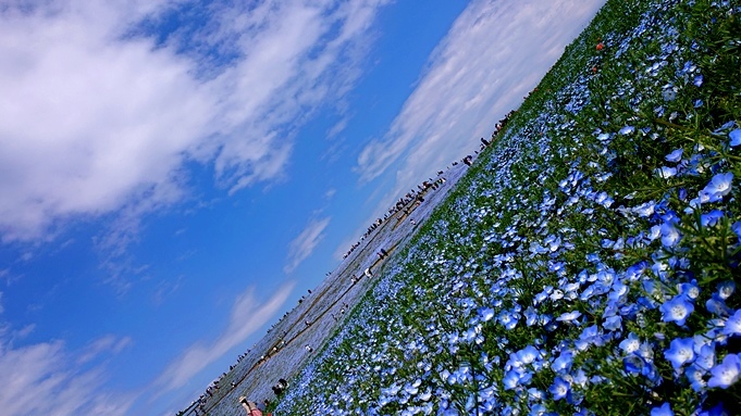 b0192199_22360849.jpg
