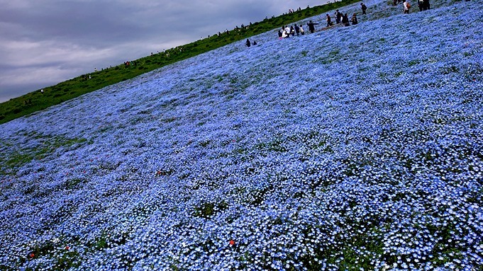 b0192199_22361584.jpg