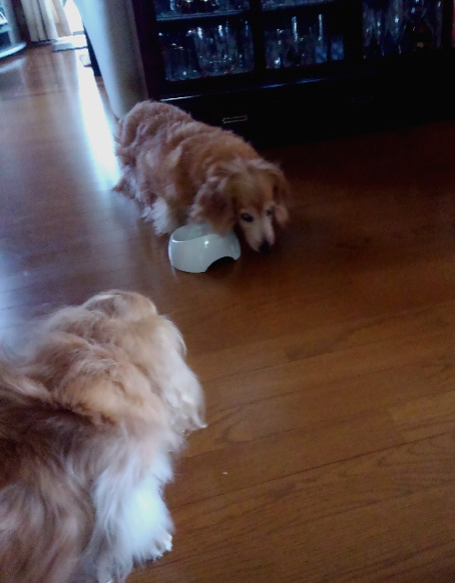 f0178701_09201039.jpg