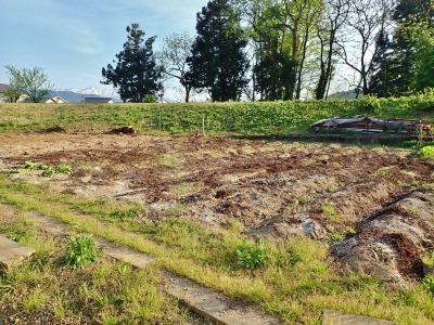 兼業農家の家庭菜園作業2日目は・・・_c0336902_21281313.jpg