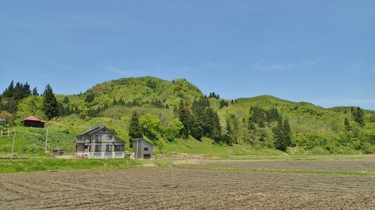 兼業農家の家庭菜園作業2日目は・・・_c0336902_21282032.jpg