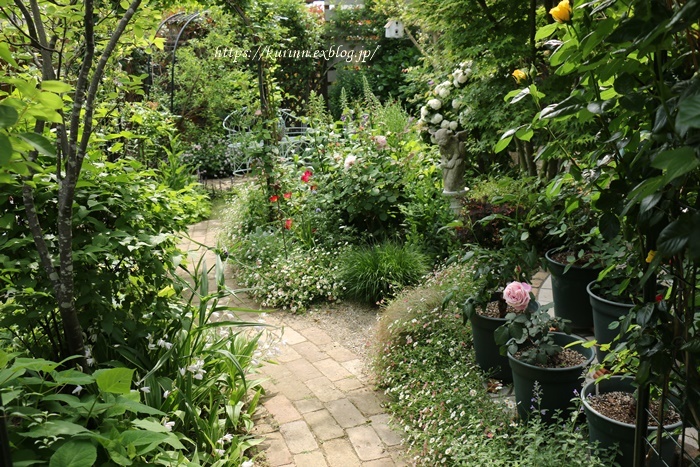 a0123003_21100477.jpg