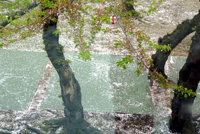 道南の桜名所めぐり(函館市、森町、松前町）_a0345007_17260764.jpg