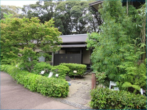 万葉の森公園_c0376508_03365147.jpg