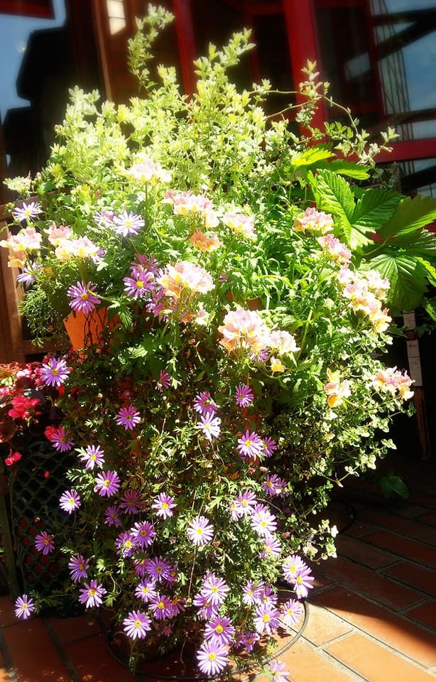 f0276708_18451299.jpg