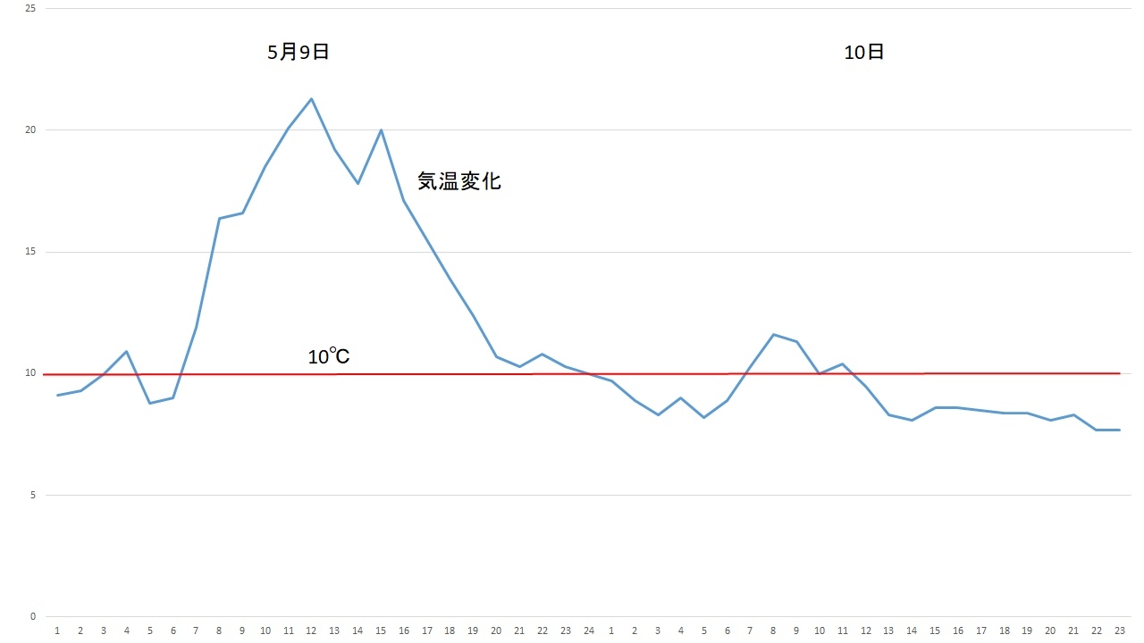 本格的に寒い_c0025115_23370006.jpg