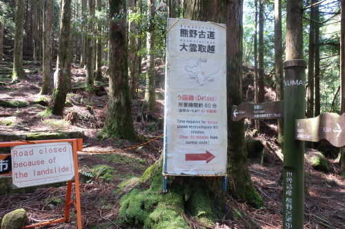 大峰奥駆道　+　小雲取越、大雲取越（７）_e0171018_22414530.jpg