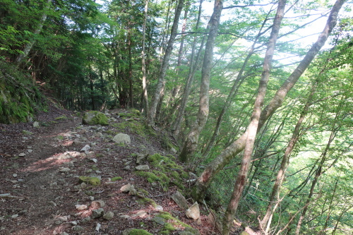 e0171018_22421567.jpg