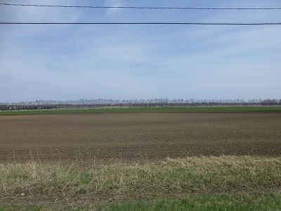 c0227720_22532364.jpg