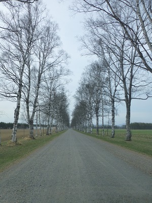 c0227720_22544610.jpg