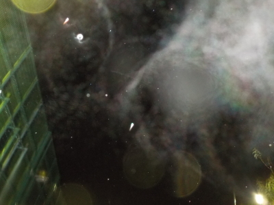 c0331825_02545326.jpg