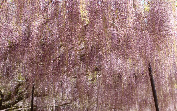e0138031_07243684.jpg