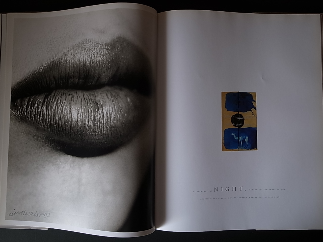 モロッコ　MAROC　/ アルバート・ワトソン　 WATSON MAROC / Albert Watson : Books & Things