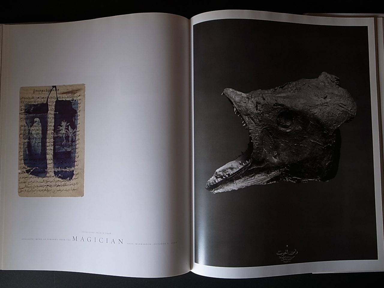 MAROC / Albert Watson : Books & Things