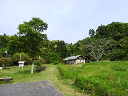 落花生準備/ハス田デッキ補修_a0123836_14410340.jpg