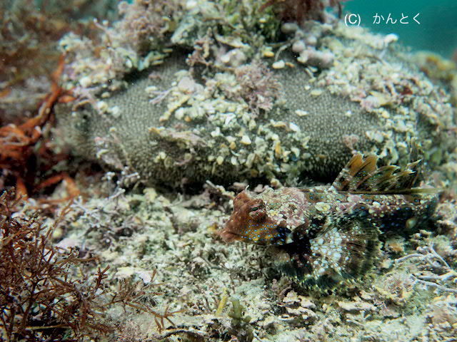 b0163039_15542520.jpg