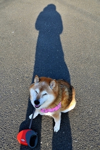 影を慕いて_b0314043_07501131.jpg