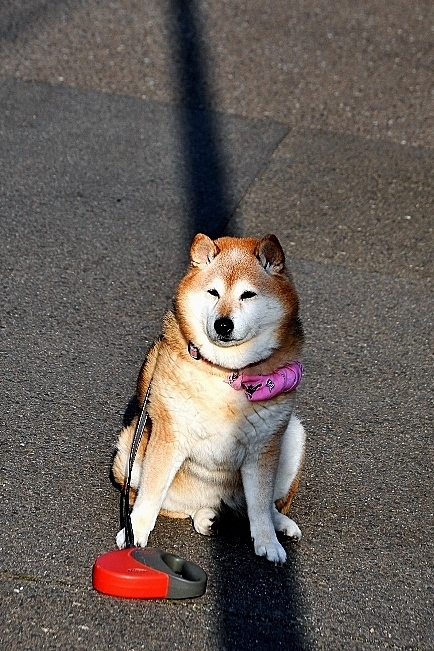 影を慕いて_b0314043_07502589.jpg