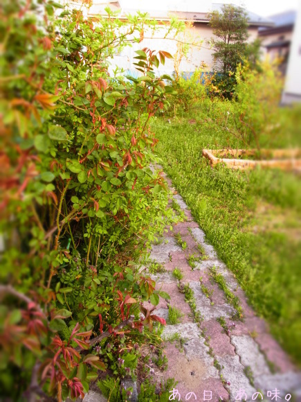 a0305046_10052317.jpg