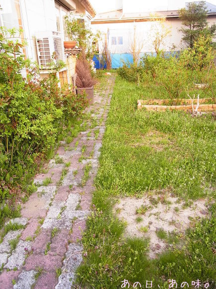 a0305046_10053094.jpg