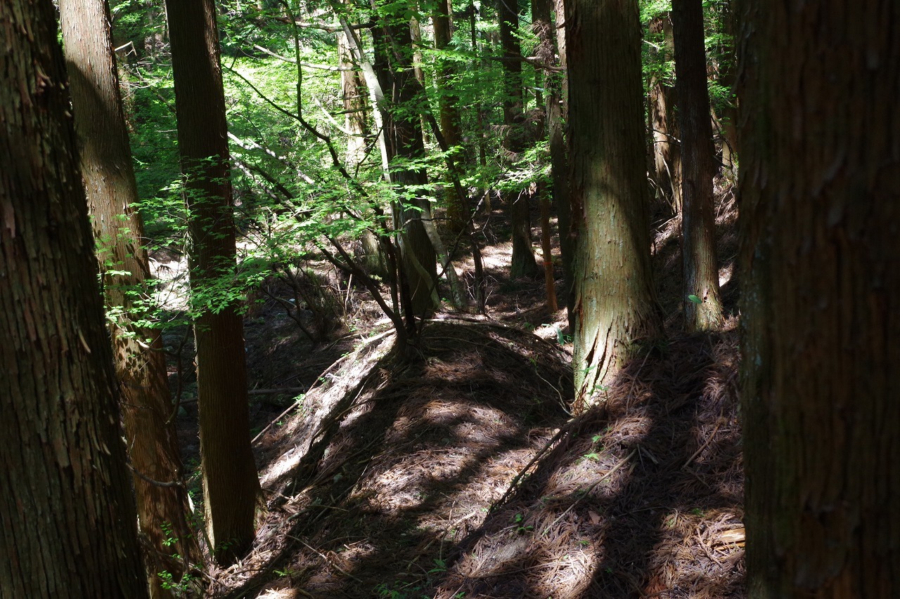 f0114346_07272914.jpg