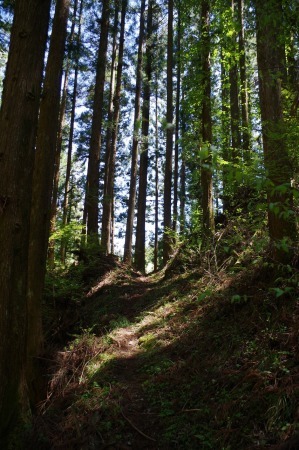 f0114346_07281347.jpg