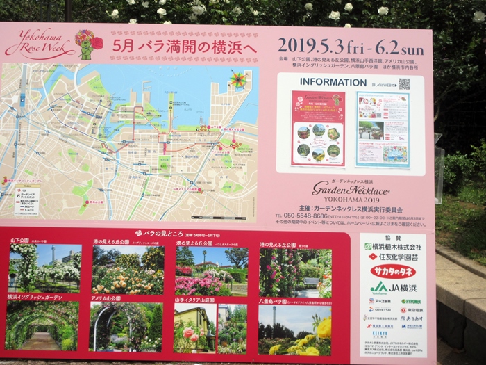 【2019横浜ばら散歩ーKKRポートヒルでランチ】_b0009849_1818947.jpg
