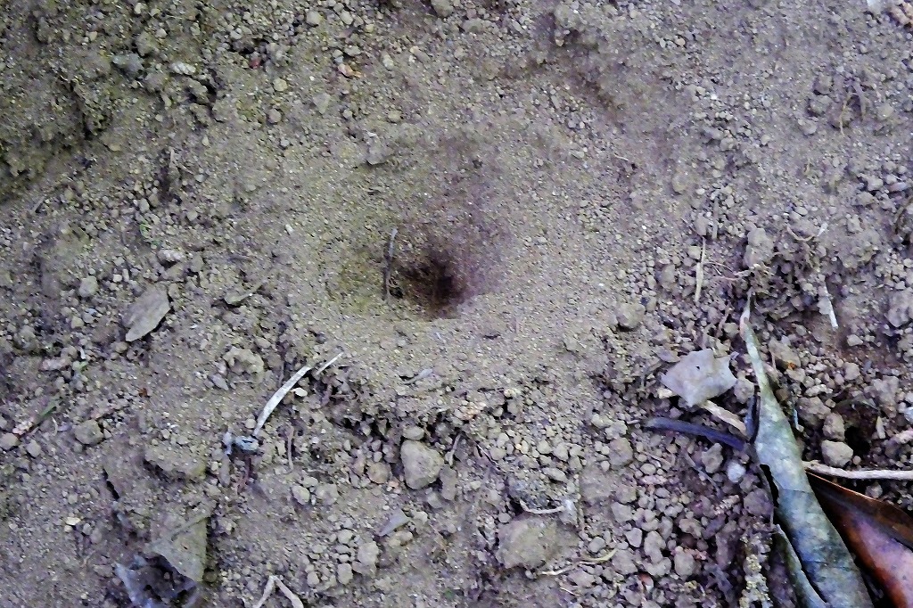 b0236251_16013272.jpg