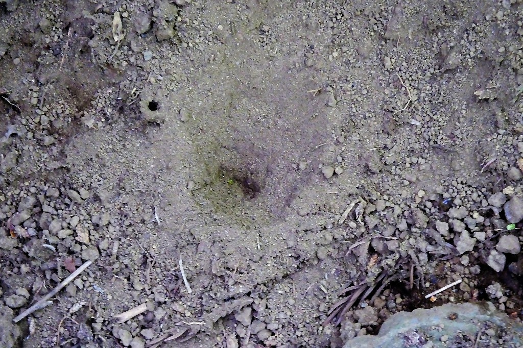 b0236251_16014085.jpg