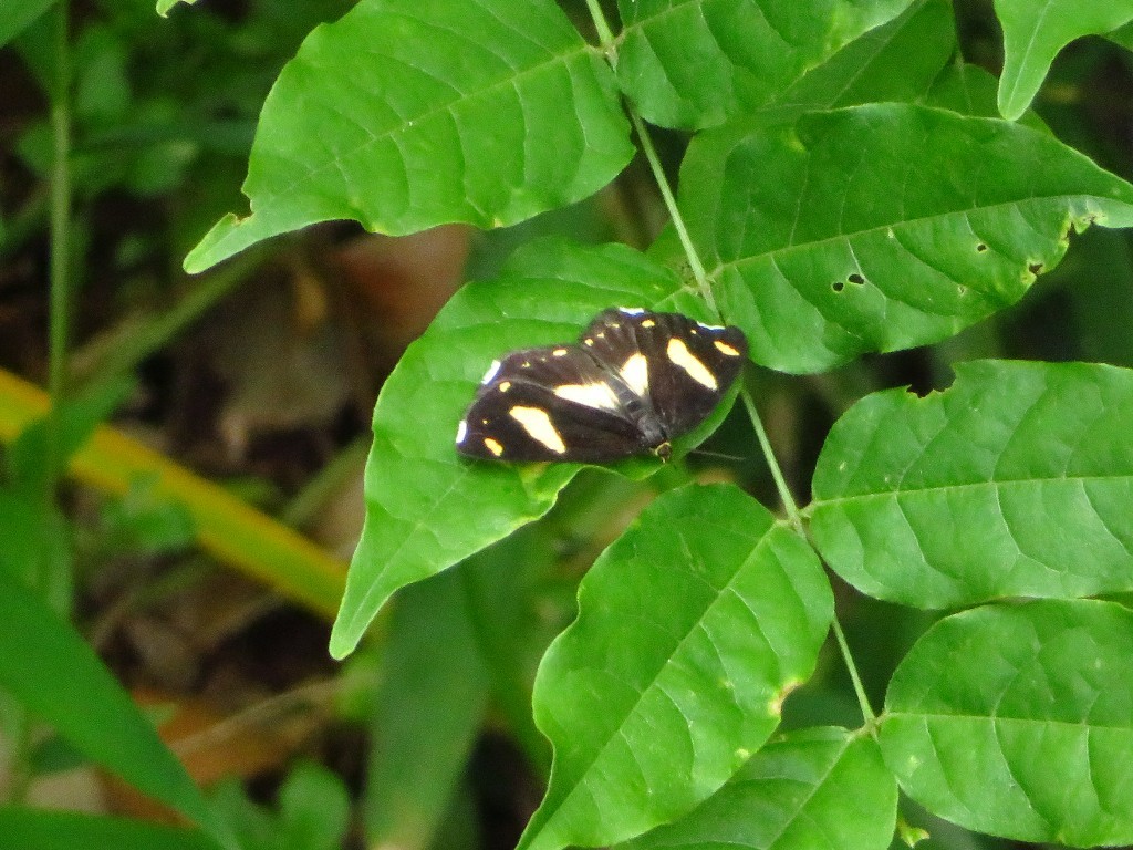 a0018655_08432301.jpg