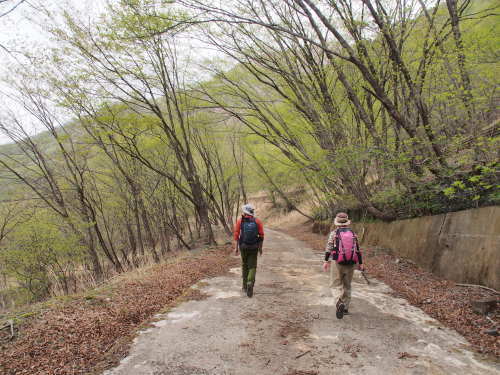 足尾の中倉山＆アカヤシオ満開の備前楯山　　2019.５.６（月）_b0335256_16023947.jpg