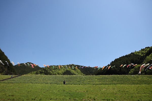 b0328557_22282827.jpg