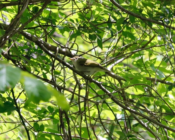 a0248459_15030338.jpg