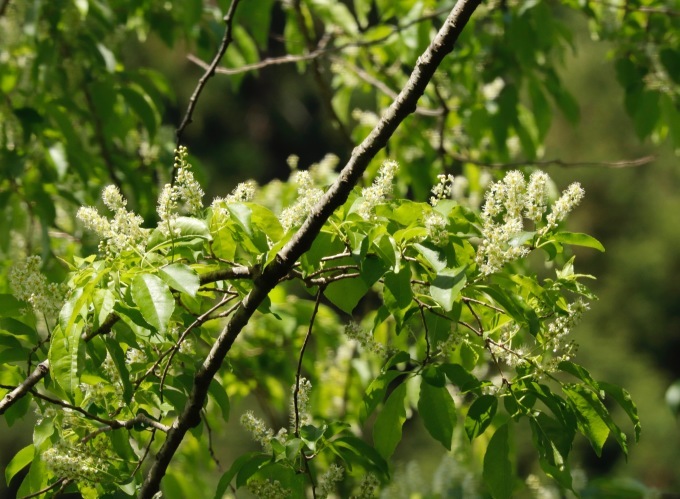 a0248459_15041438.jpg