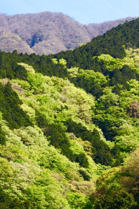 a0248459_15095329.jpg