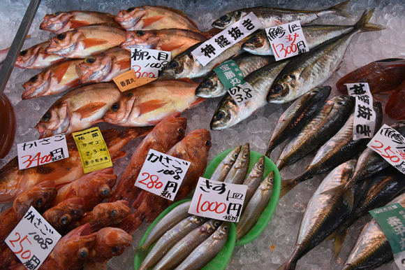 越中富山の旅―その1―_e0164563_10435741.jpg