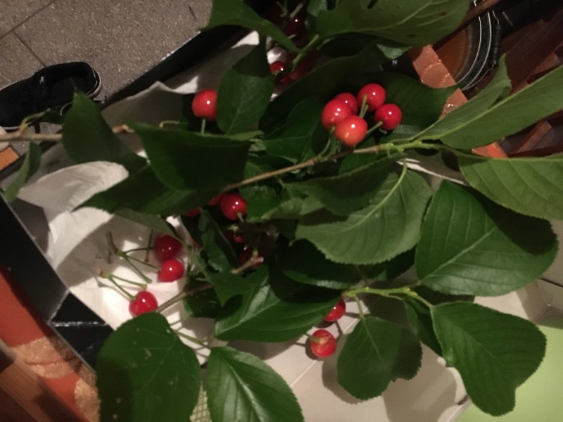 f0363168_22054470.jpeg