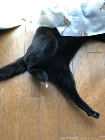 振り返ってみました②_e0355177_19410032.jpg