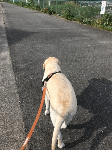 f0315081_20532536.jpeg