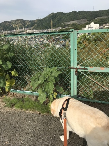 f0315081_20543958.jpeg