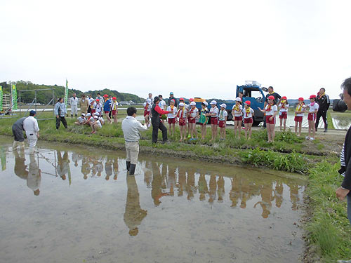 田植え体験(緑ヶ丘小・北郷小) _d0247484_14194121.jpg