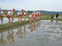 田植え体験(緑ヶ丘小・北郷小) _d0247484_14452556.jpg