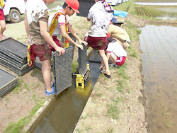 田植え体験(緑ヶ丘小・北郷小) _d0247484_1528381.jpg