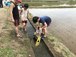 田植え体験(緑ヶ丘小・北郷小) _d0247484_1530915.jpg