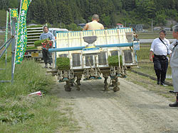田植え体験(緑ヶ丘小・北郷小) _d0247484_1573651.jpg