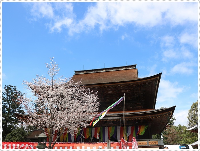 あれから１か月、備忘録としてもう一度。。。吉野の千本桜と又兵衛桜を見るバスツアー_b0175688_00410048.jpg