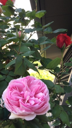 5月教室  2_e0358096_20351526.jpeg